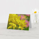 Search for yellow daisy birthday cards Daisies