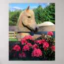Search for mare posters Cute