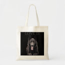 Search for german shepard bags Dad