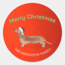 Search for tan stickers Merry christmas