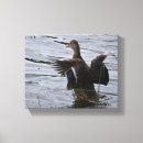 Search for waterfowl canvas prints Nature