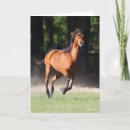 Search for bob cards Animal