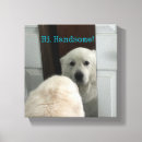Search for handsome art Dog