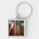 Search for growth key rings Blue