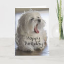 Search for friend birthday cards Adult