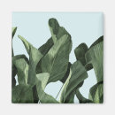Search for botanical square magnets Palms