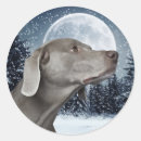 Search for weimaraner stickers Xmas