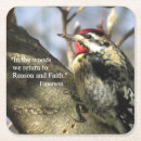 Search for belly coasters Woodpecker