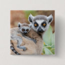Search for lemur badges Wildlife