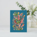 Search for ernst haeckel postcards Vintage