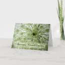 Search for spanish sympathy cards Flowers