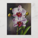 Search for orchids postcards Orchid flowers