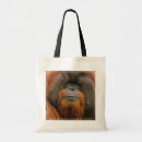 Search for borneo bags Primates
