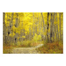 Search for seasonal art Woodland