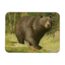 Search for tree trunks magnets Wild life
