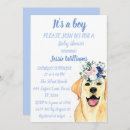 Search for labrador invitations Boy