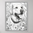 Search for labrador painting art Illustration
