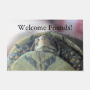 Search for box turtle photography Cute