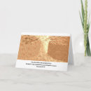 Search for tree of life cards Torah