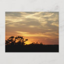 Search for bandera postcards Texas