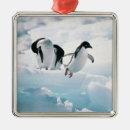 Search for antarctica christmas tree decorations Outdoors