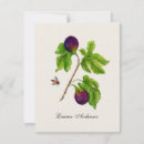Search for vintage botanical print cards Watercolor