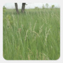 Search for happy summer stickers Simple