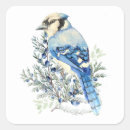 Search for bushes stickers Blueberry