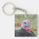 Search for kevin key rings Bird