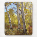 Search for fall splendour Aspen