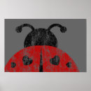 Search for lady bug posters Insect