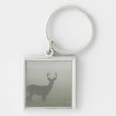 Search for mountain top key rings Standing