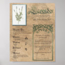 Search for wiccan posters Botanical