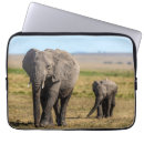 Search for elephant trunk cases Animals in the wild