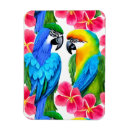 Search for parrot magnets Birds
