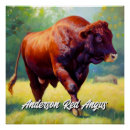 Search for angus cow posters Bull