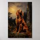 Search for irish setter posters Puppy