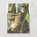 Search for yawning postcards Nature