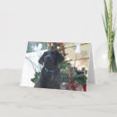 Search for labrador cards Kids