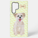 Search for toy electronics Pets