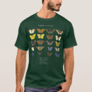 Search for goth fairy Wings