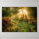 Search for wood wall posters Forest
