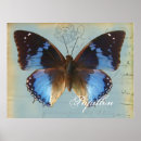 Search for papillon vintage posters Butterfly