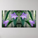 Search for flowers posters Wildflower