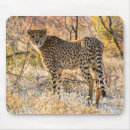 Search for around to it mousepads Animal