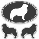 Search for black and white dog bumper stickers Pets