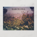 Search for afternoon postcards Europe