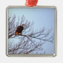 Search for bald eagle christmas tree decorations Eagles