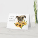 Search for sunflower lover postcards Floral