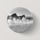 Search for mustangs badges Animals